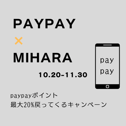 paypayキャンペーン。